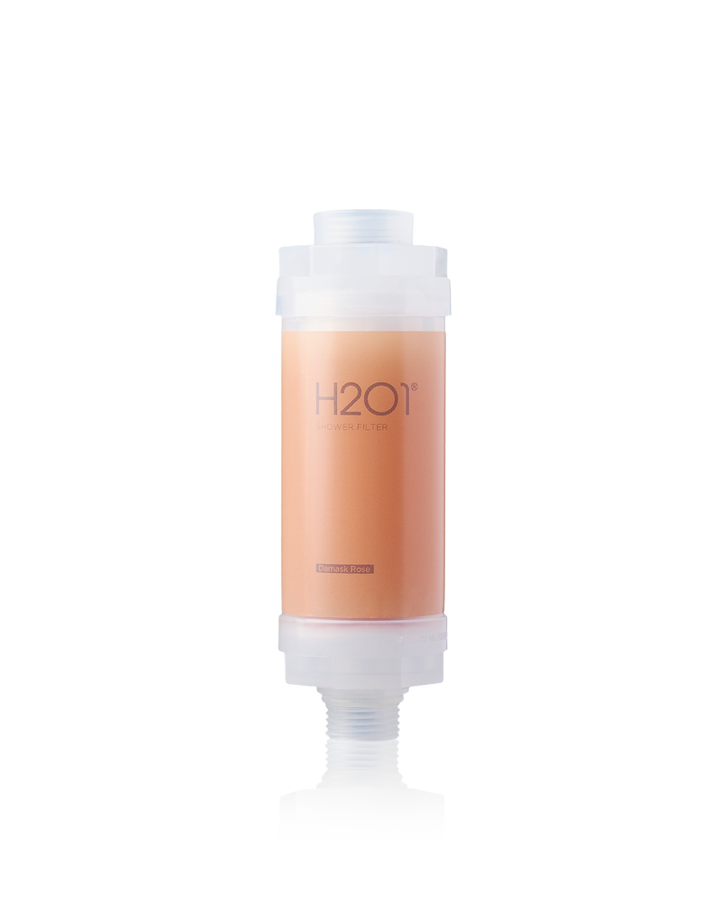 H201シャワーフィルター（ダマスクローズ）